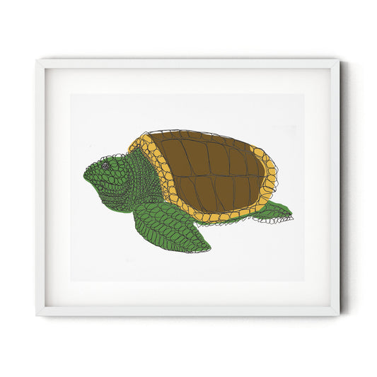 Curly Turtle (Print)